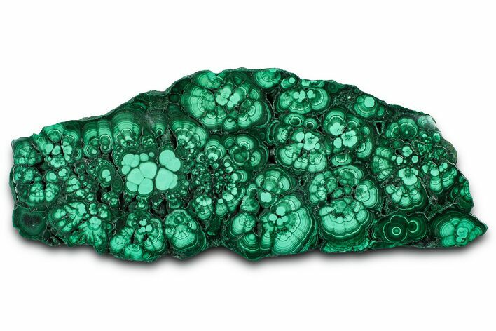 Flowery Polished Malachite Slab - DR Congo #360537